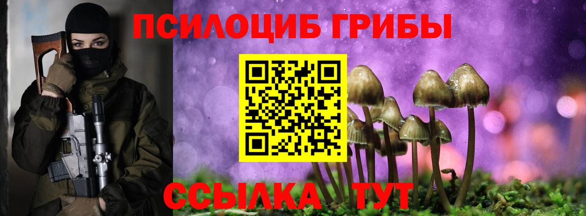 Галлюциногенные грибы Magic Shrooms Боровичи