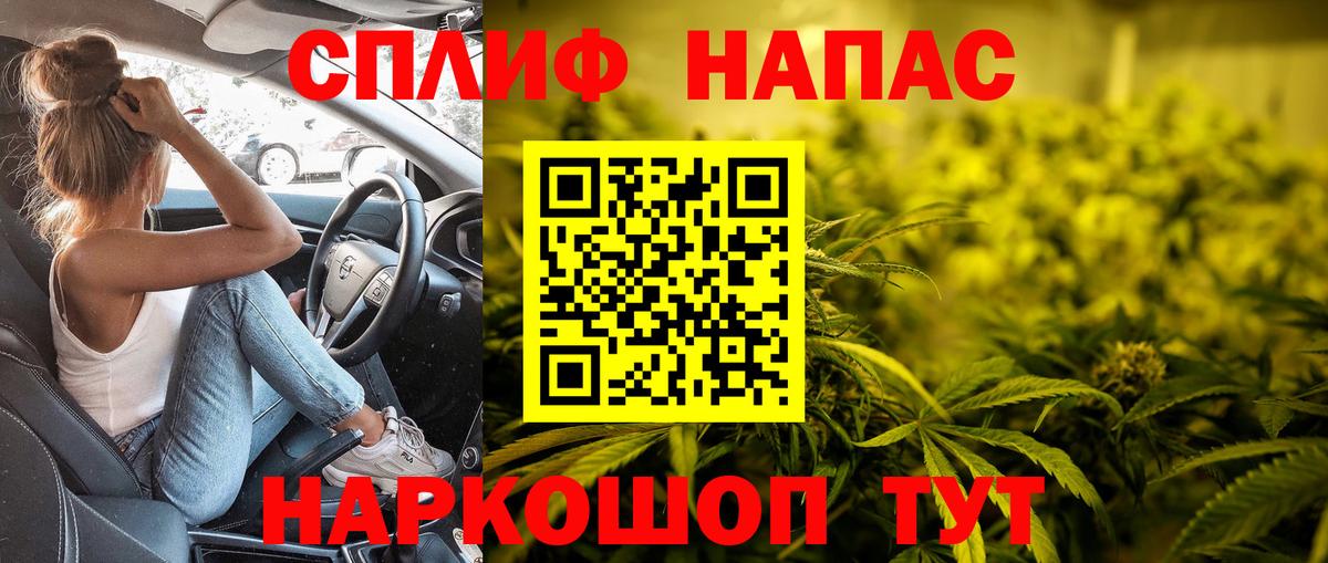 Бошки марихуана планчик  Вход с VPN  Конопля сатива  Канабис планчик  Боровичи  Конопля план 